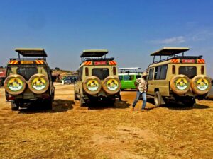 game-viewing-experience-with-paradise-adventure-vacations